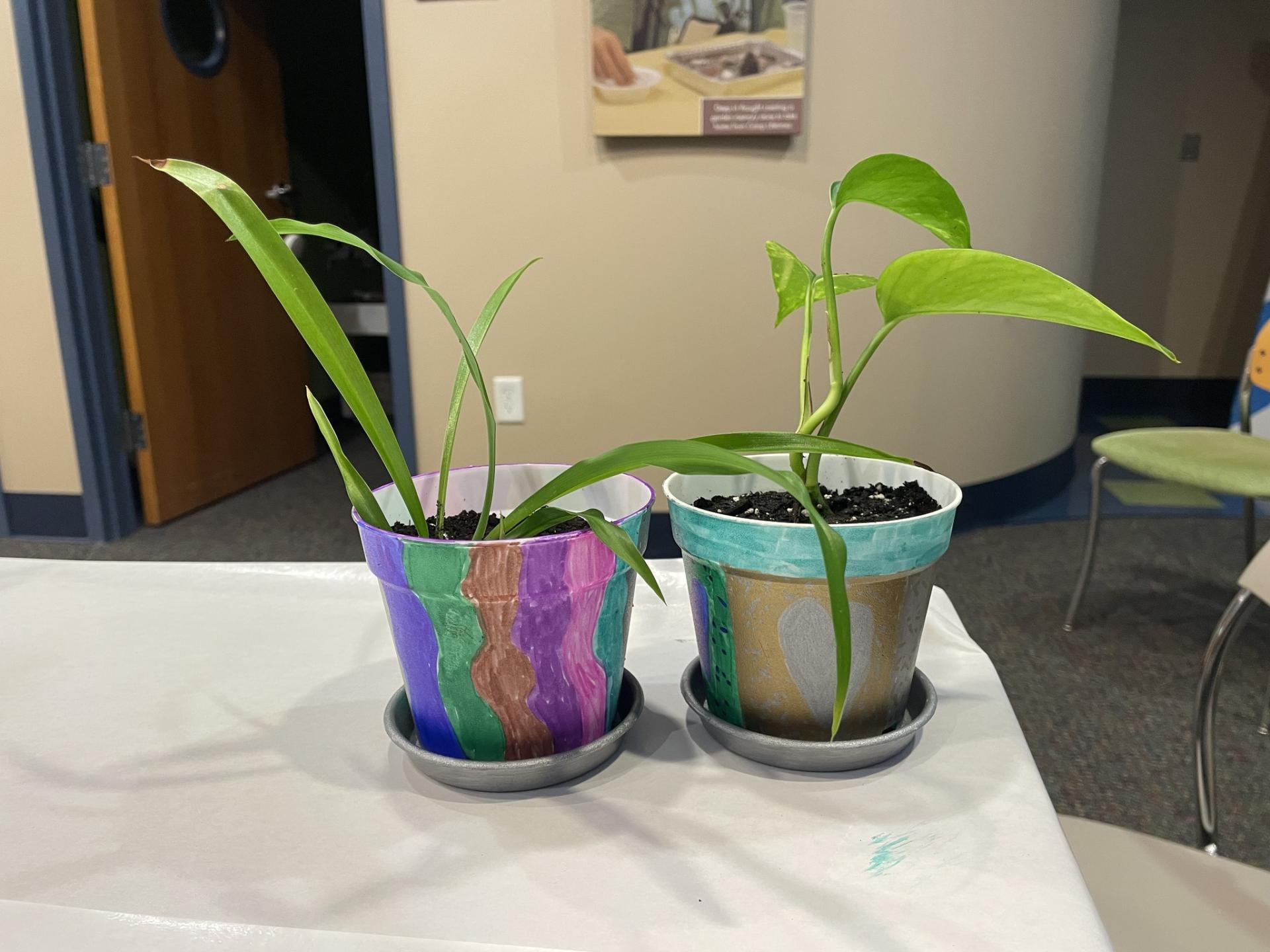 Two plants with painted pots